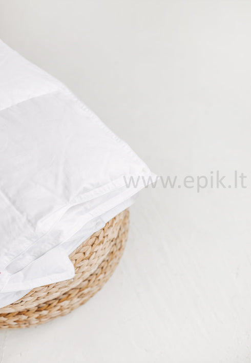 Lengva žąsų pūkų (90%) ir plunksnų (10%) užpildo antklodė | plona | visiems metų laikams